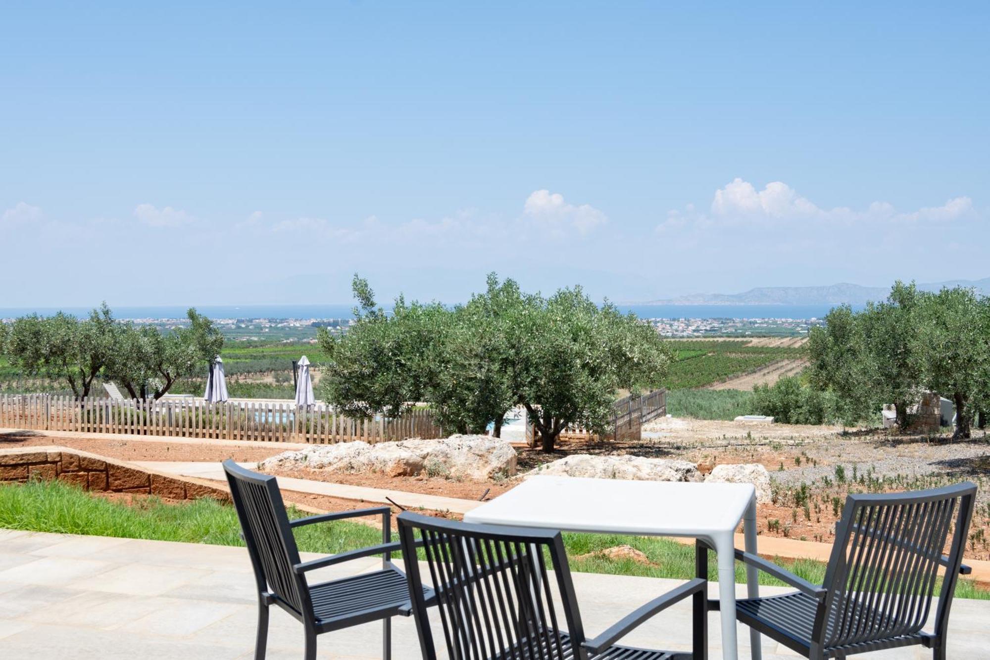The Olive Hill Villa Assos  Exterior photo
